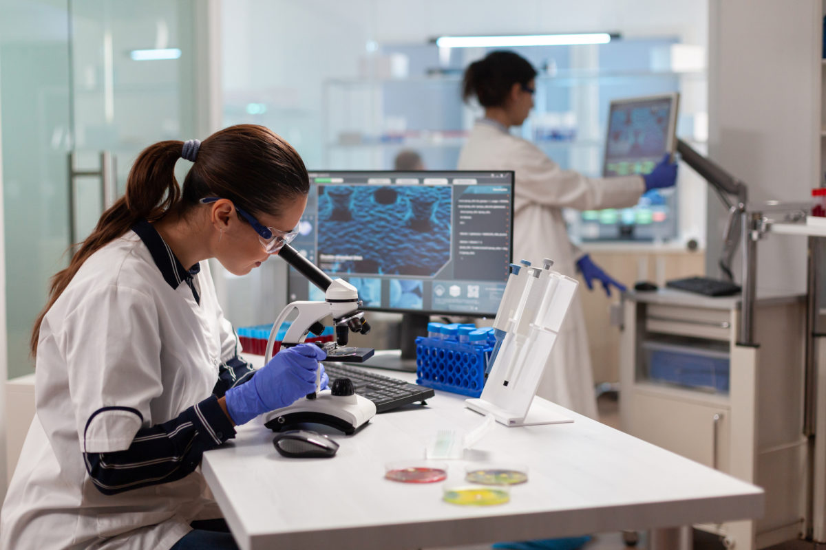 Pharma & Biotechnology Executive Search Firm | Kaye/Bassman